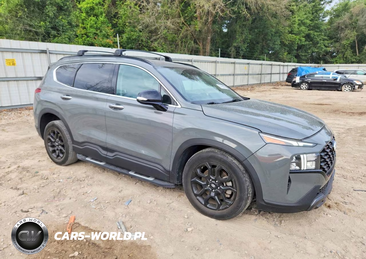 2023 Hyundai Santa Fe Xrt VIN:5NMS64AJ1PH510518 - 4