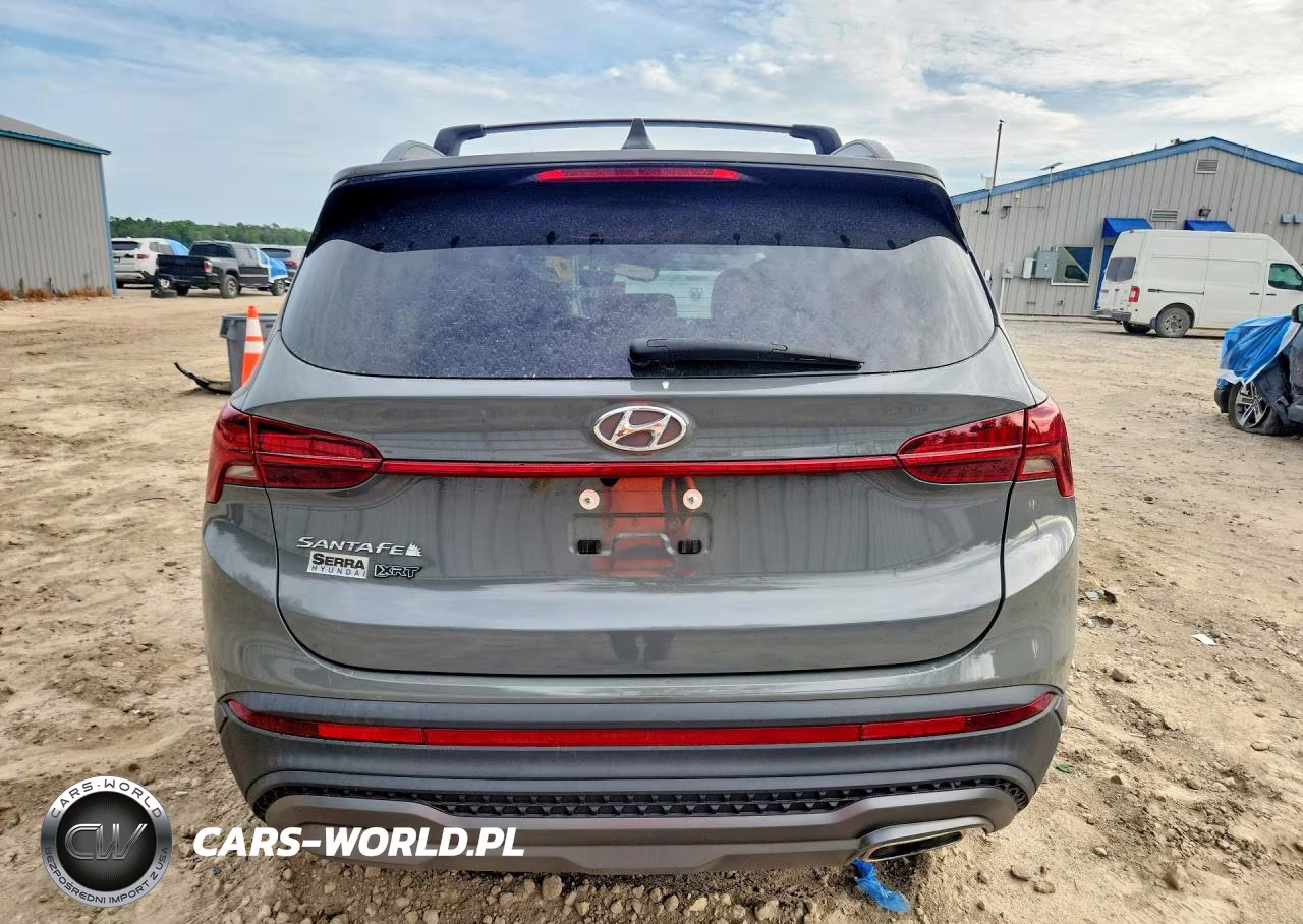 2023 Hyundai Santa Fe Xrt VIN:5NMS64AJ1PH510518 - 6