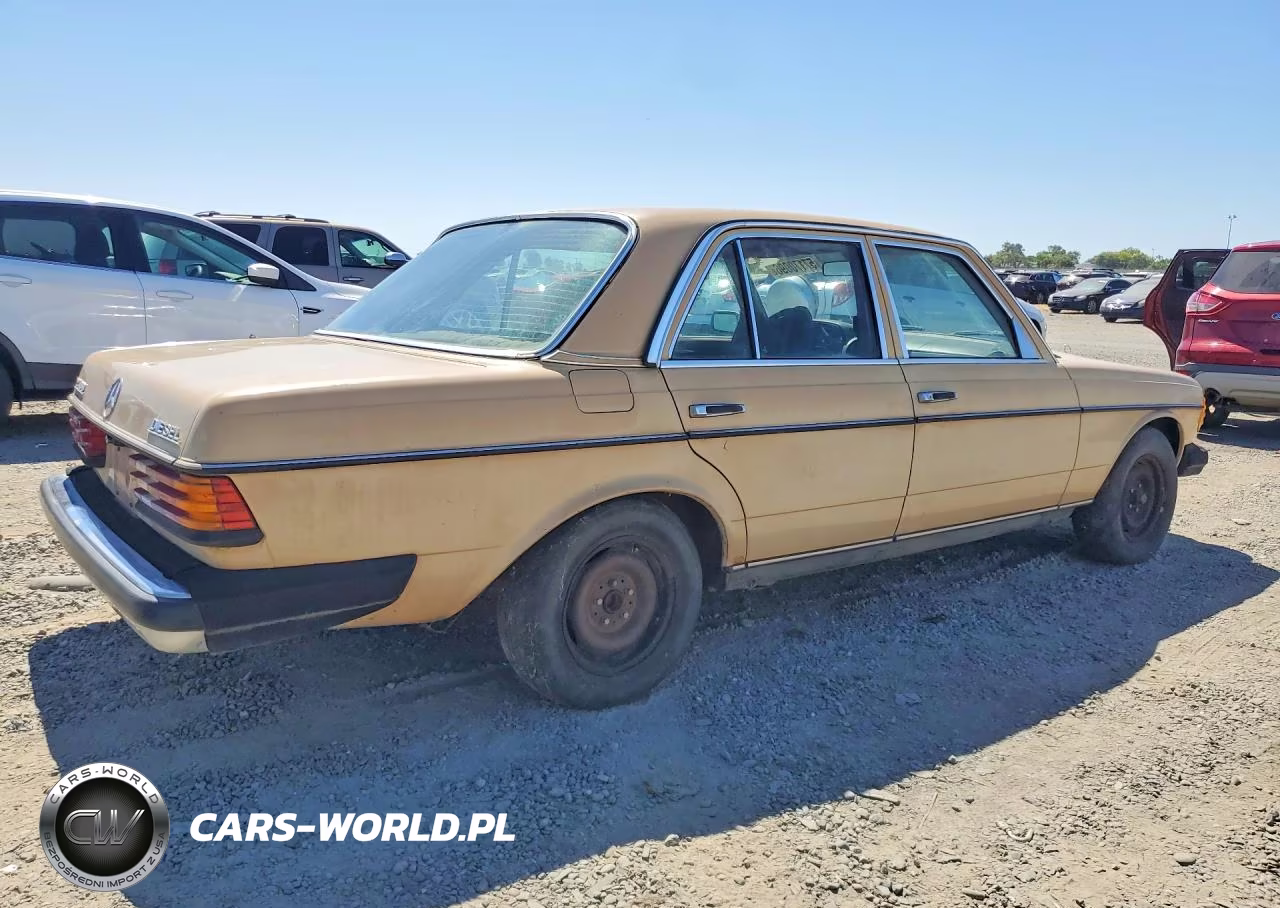 1977 Merz 240-Class VIN:12312312046324 - 3