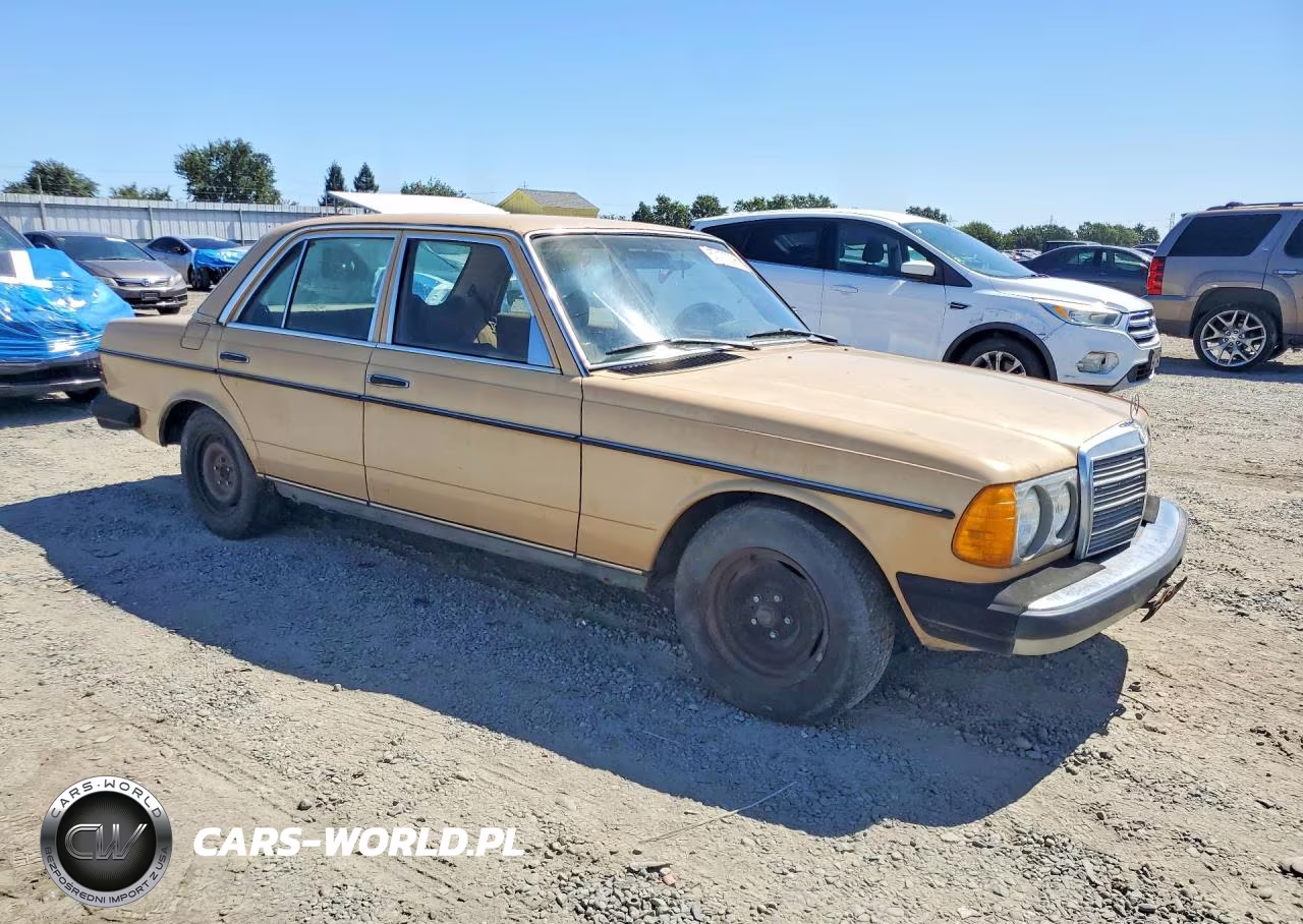 1977 Merz 240-Class VIN:12312312046324 - 4