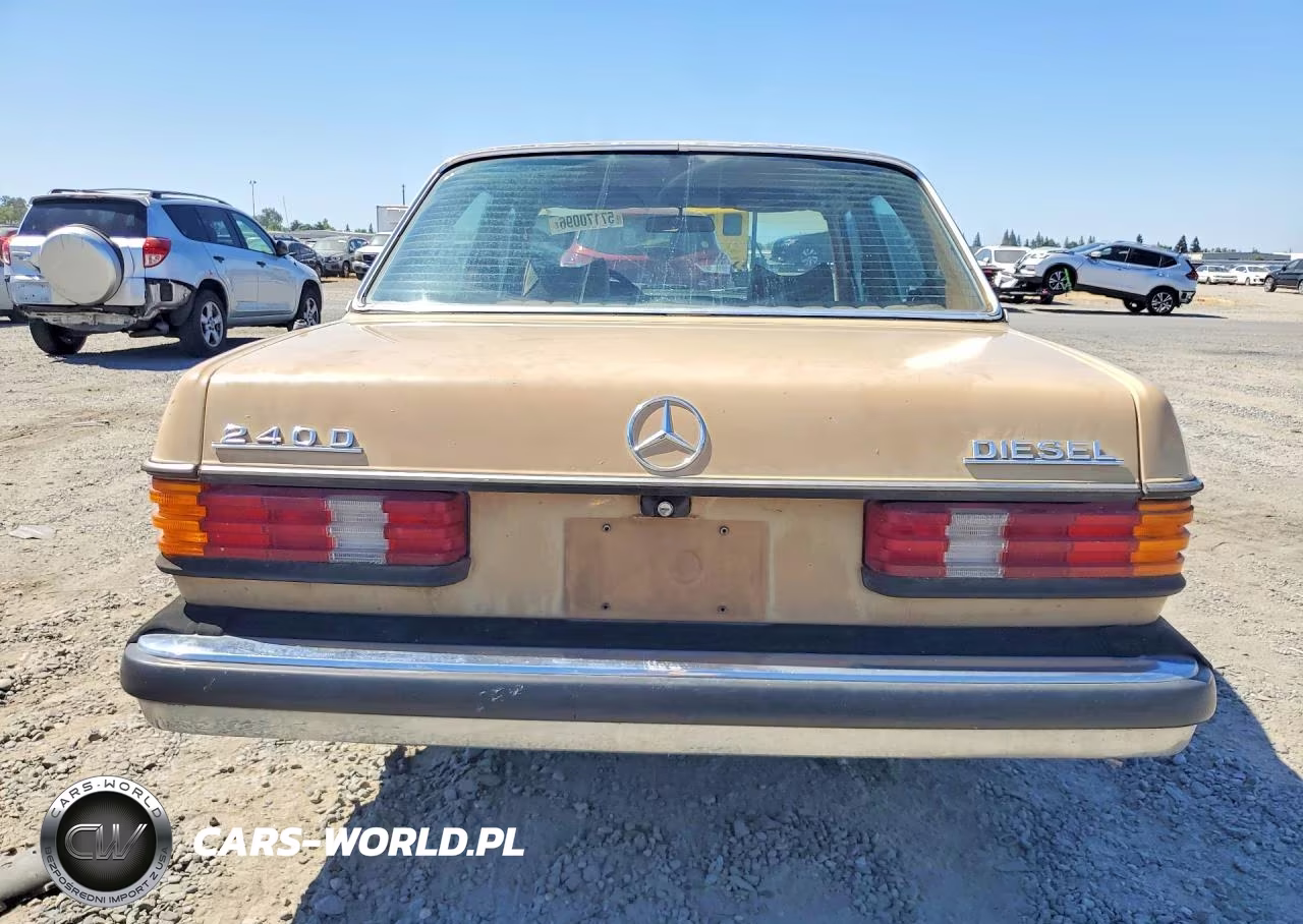 1977 Merz 240-Class VIN:12312312046324 - 6