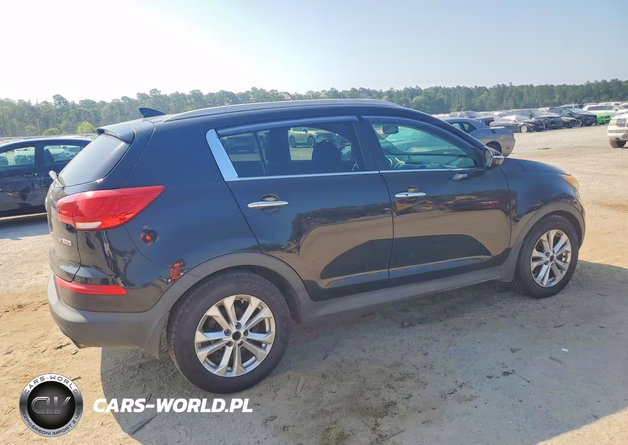 2016 Kia Sportage Sx VIN:KNDPC3A67G7831636 - 3