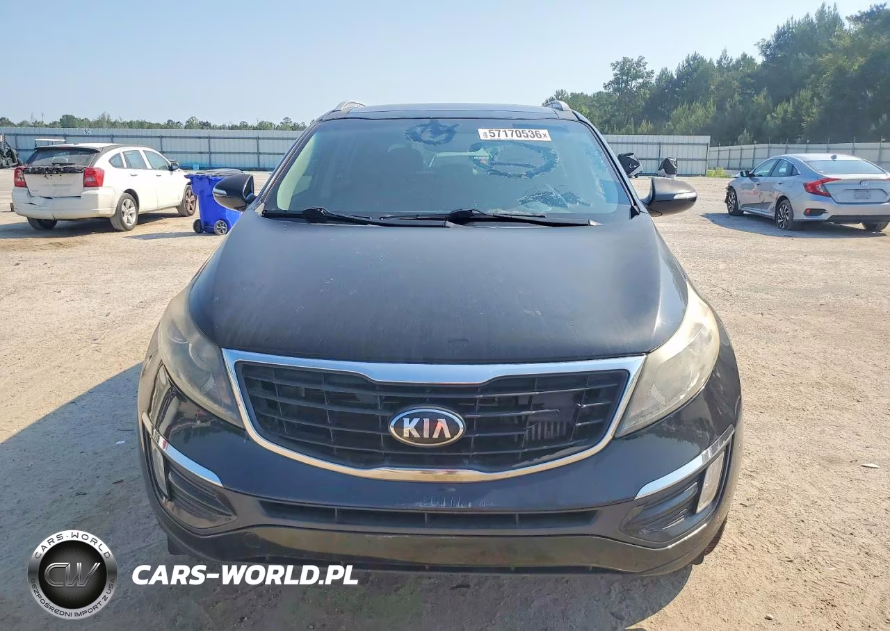 2016 Kia Sportage Sx VIN:KNDPC3A67G7831636 - 5