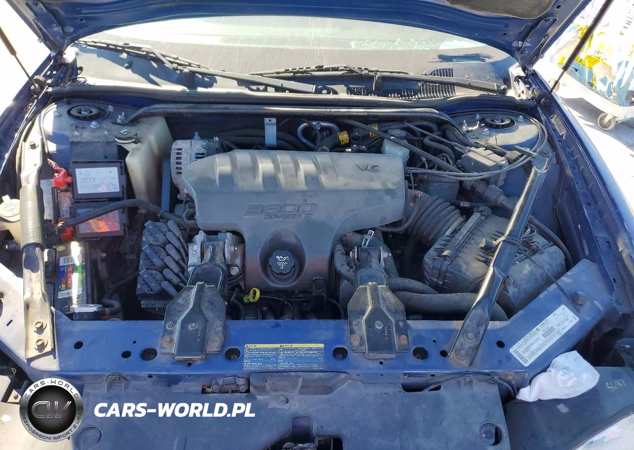 2003 Chevrolet Monte Carlo Ss VIN:2G1WX12K539332920 - 11