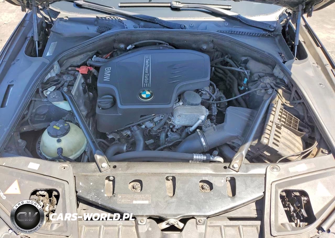 2014 BMW 528 I VIN:WBA5A5C55ED509666 - 11