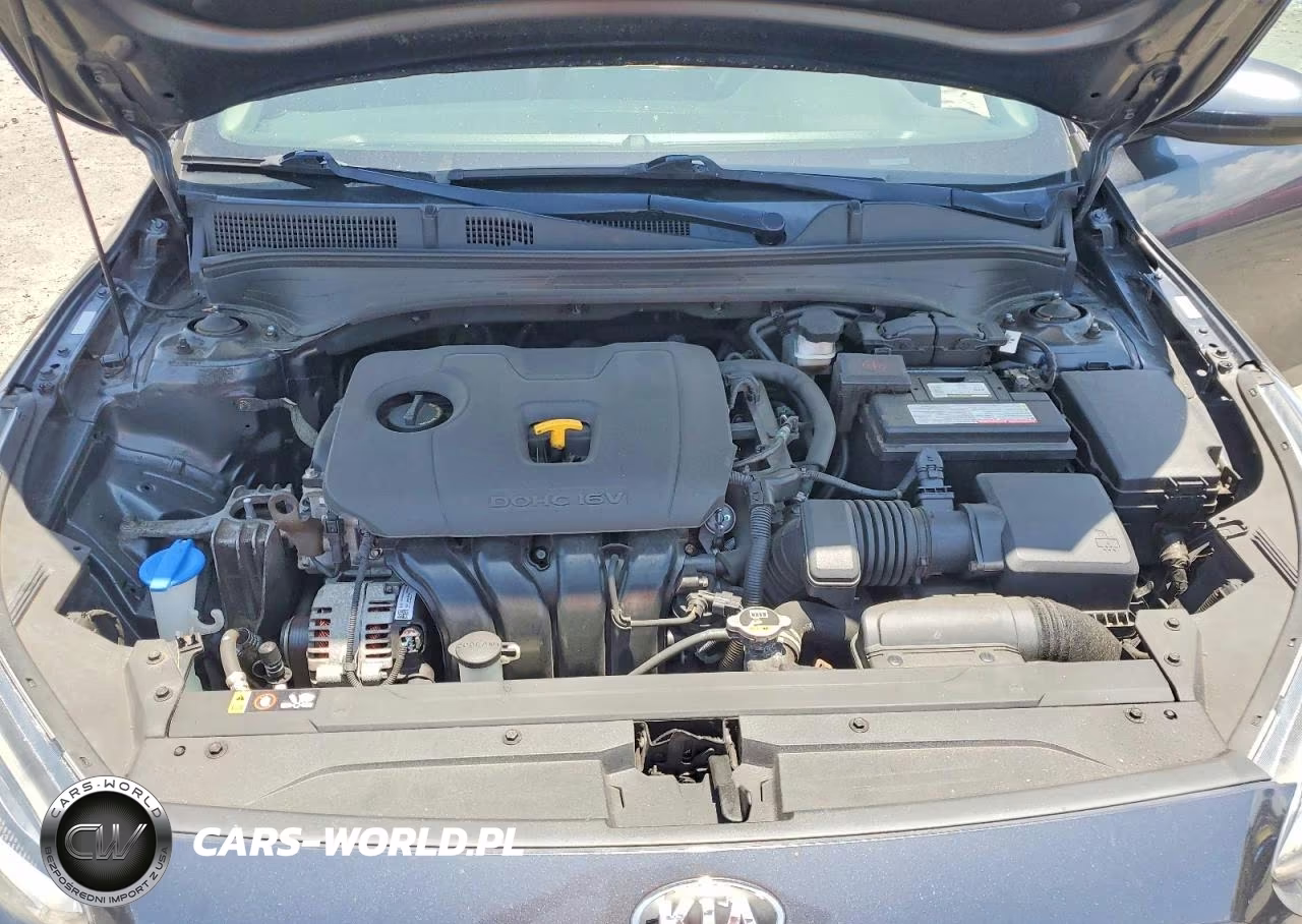 2019 Kia Forte Fe VIN:3KPF24AD9KE074461 - 11