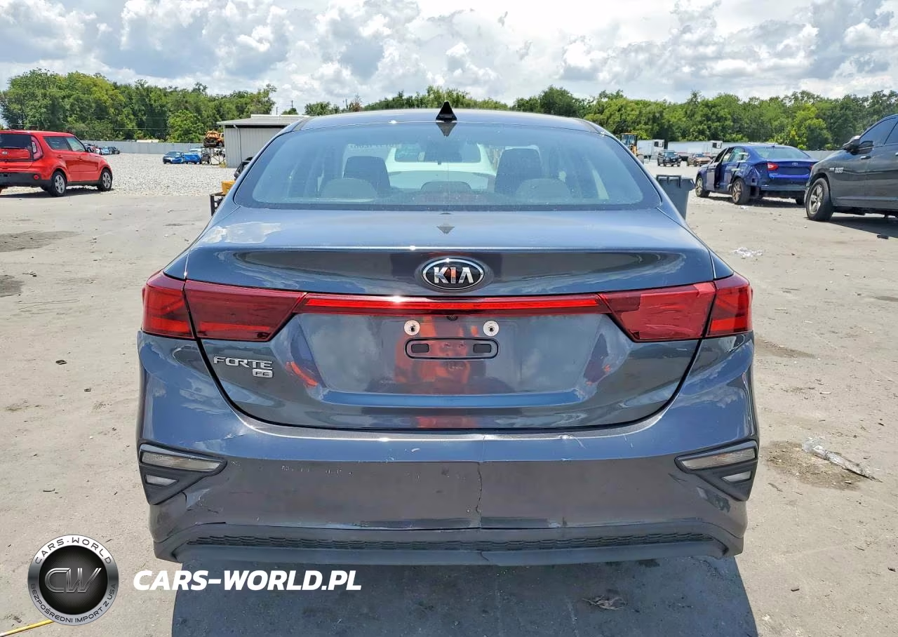 2019 Kia Forte Fe VIN:3KPF24AD9KE074461 - 6