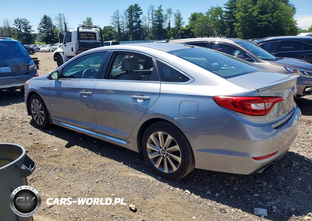 2016 Hyundai Sonata Sport VIN:5NPE34AF8GH283803 - 2