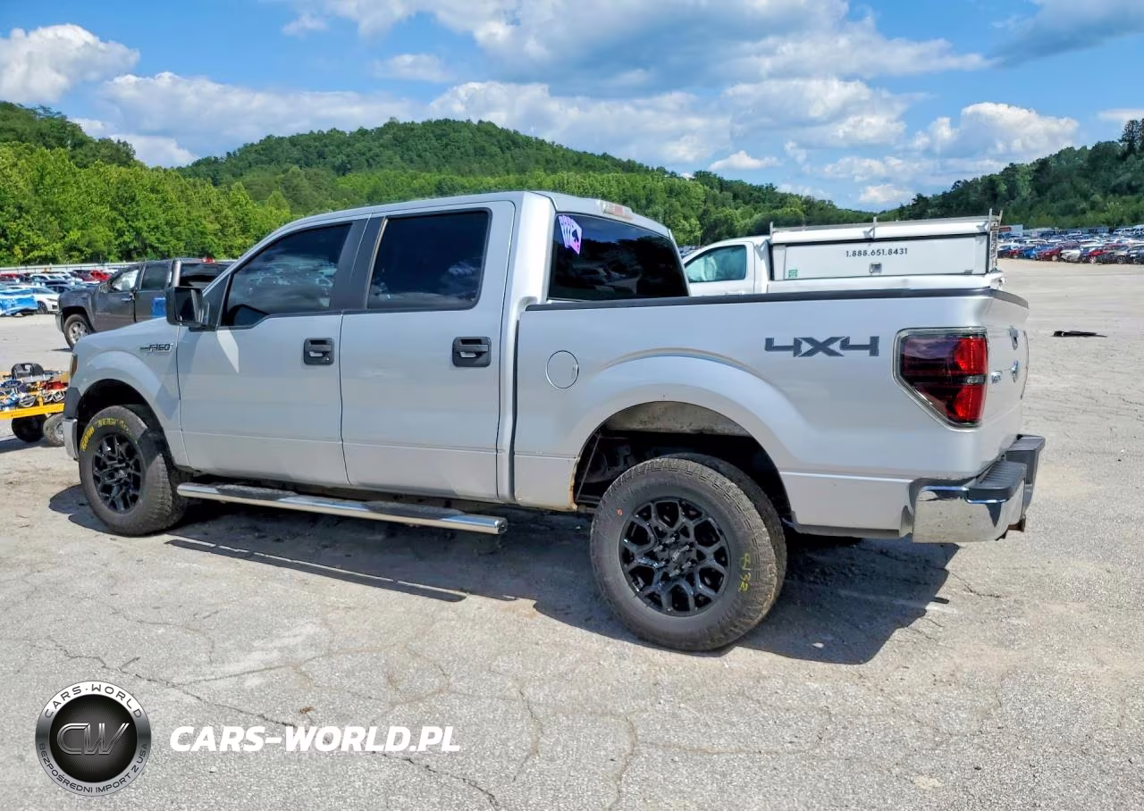 2009 Ford F150 Supercrew VIN:1FTRW14879FA58502 - 2
