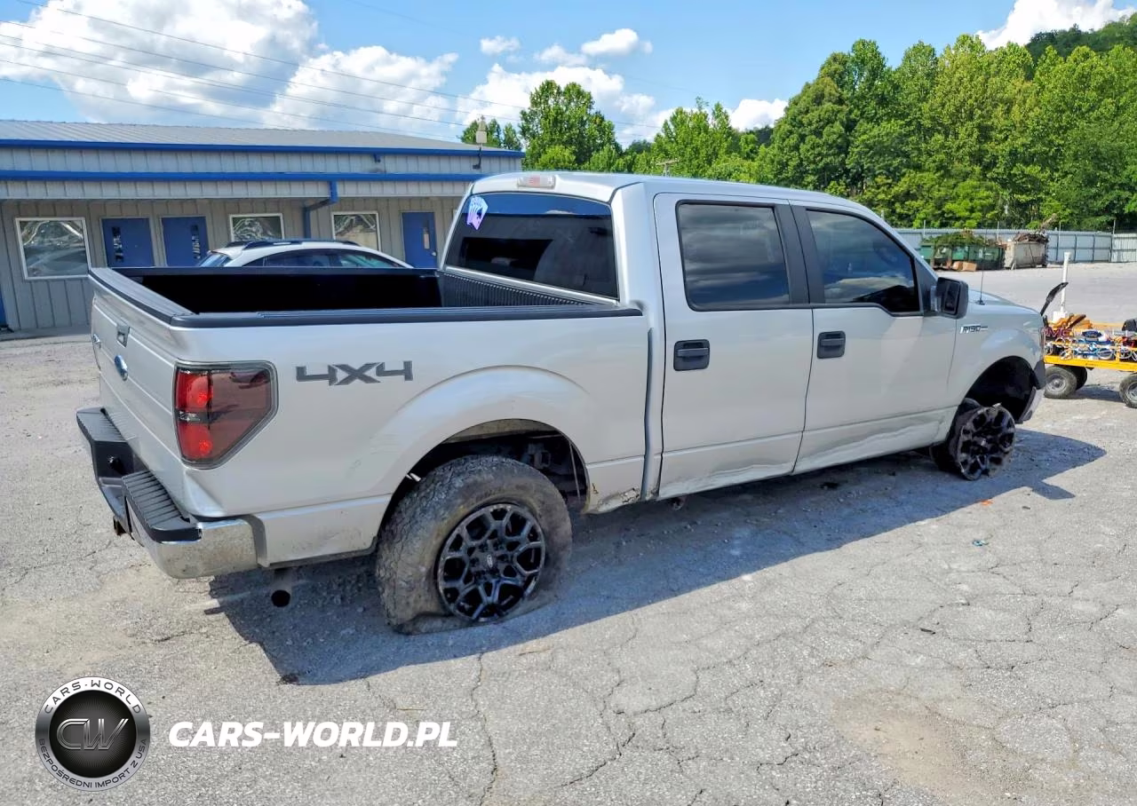 2009 Ford F150 Supercrew VIN:1FTRW14879FA58502 - 3