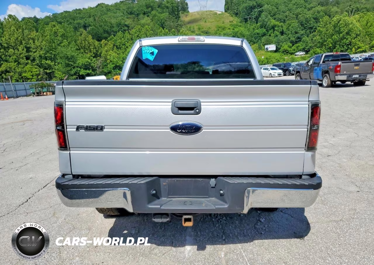 2009 Ford F150 Supercrew VIN:1FTRW14879FA58502 - 6