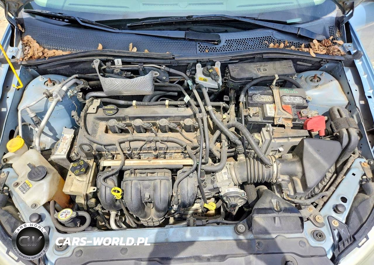 2009 Ford Focus Se VIN:1FAHP35N99W116110 - 11