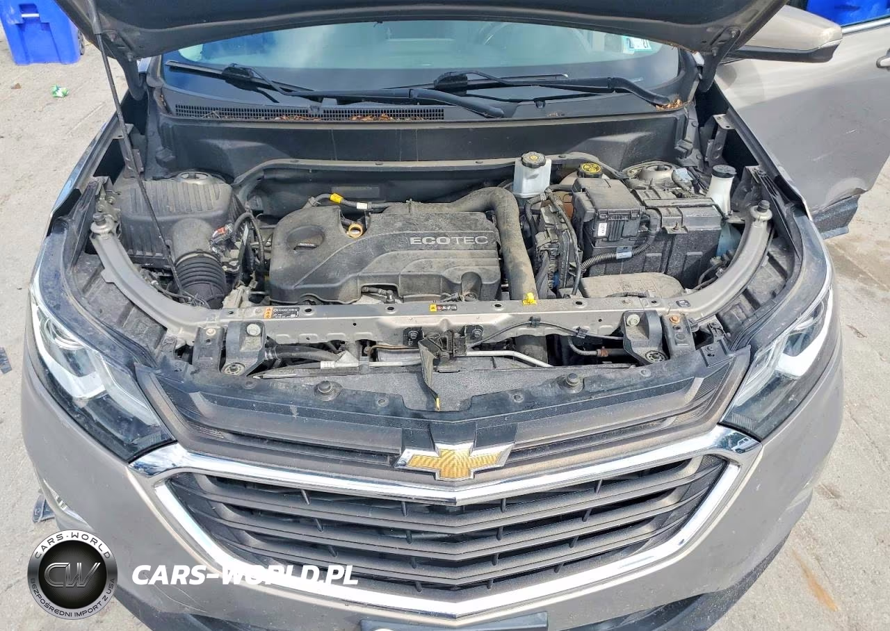 2019 Chevrolet Equinox Lt VIN:3GNAXUEV8KS565479 - 12
