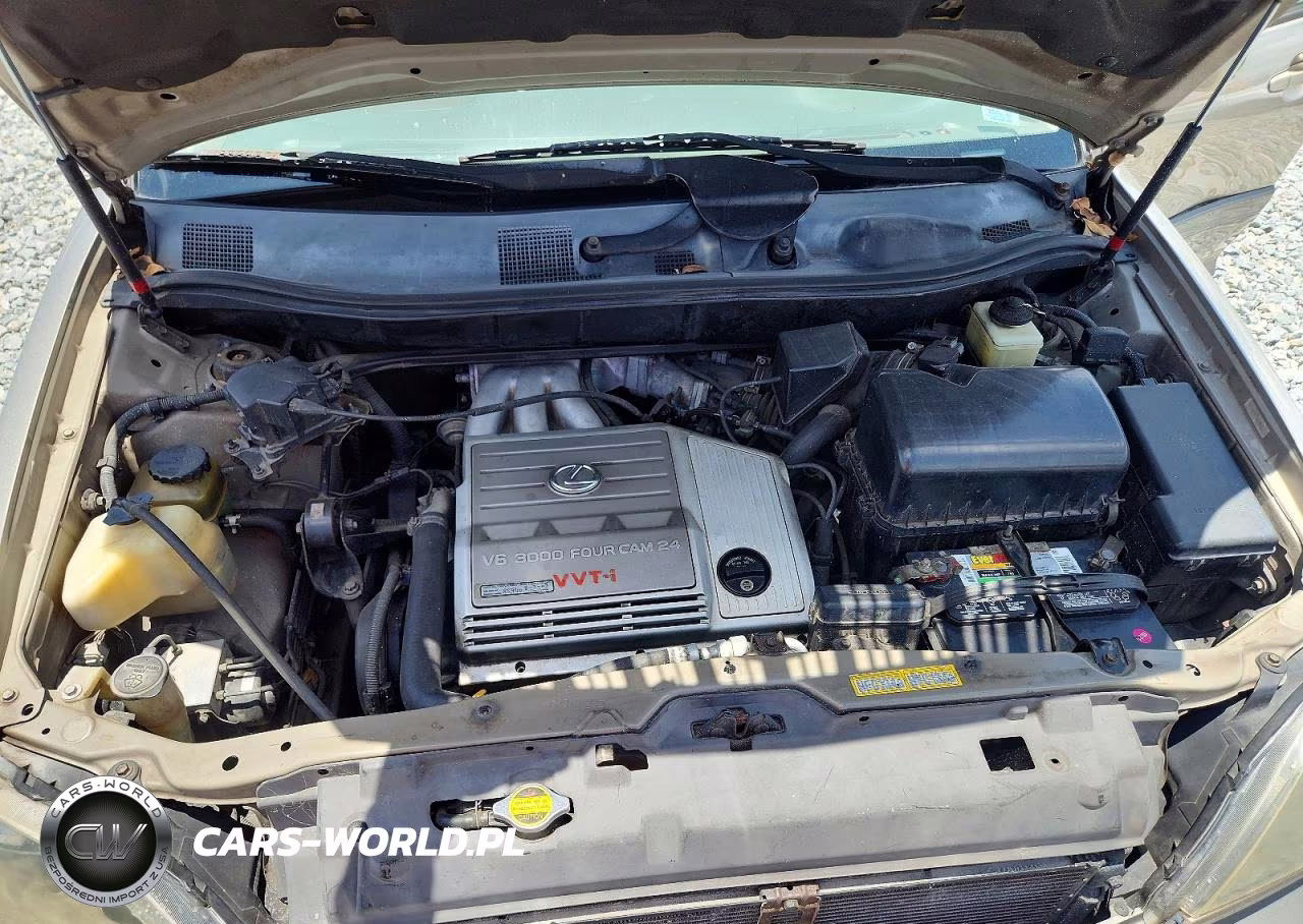 2000 Lexus Rx 300 VIN:JT6GF10U6Y0052807 - 11