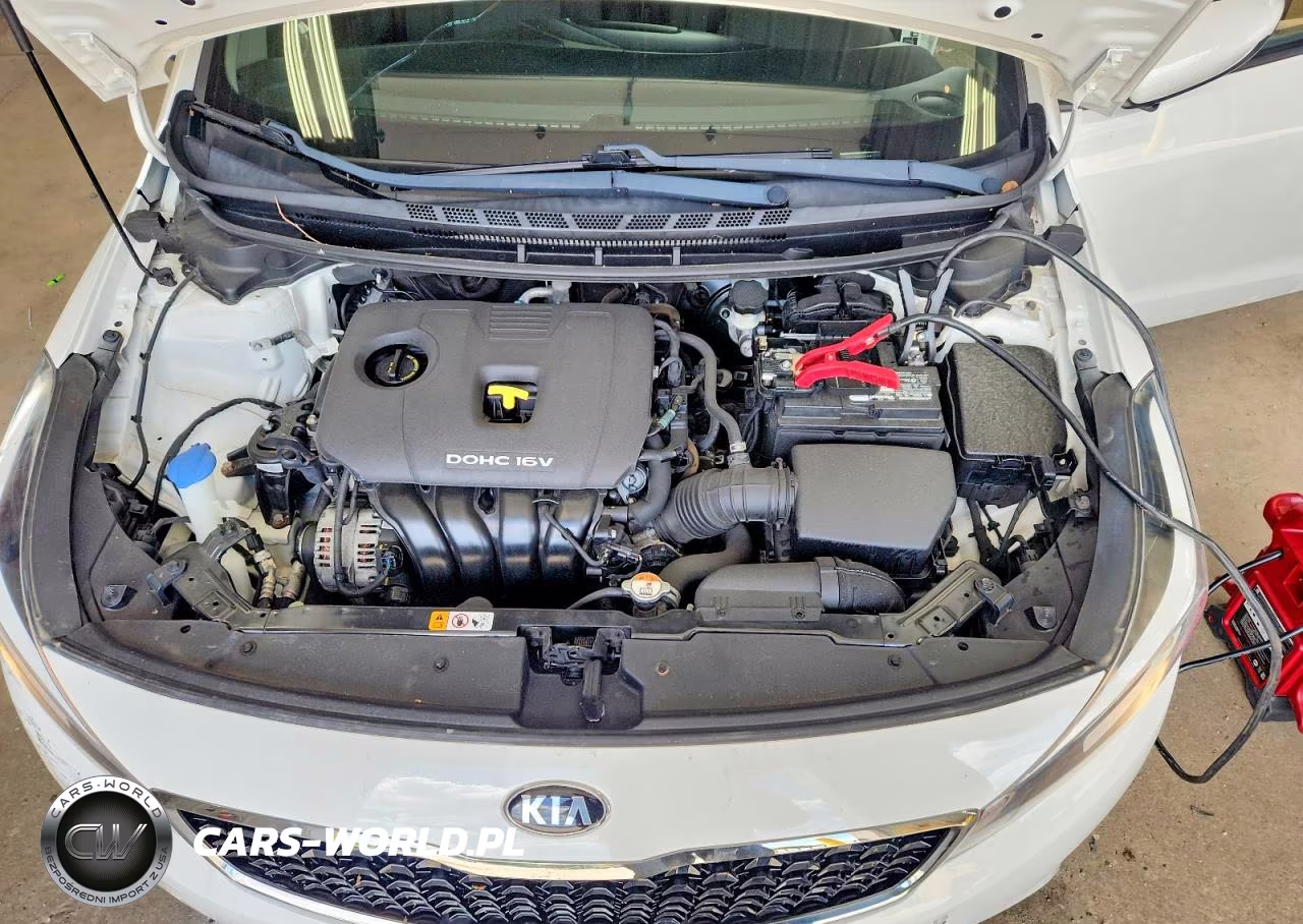 2017 Kia Forte Lx VIN:3KPFK4A78HE158659 - 11