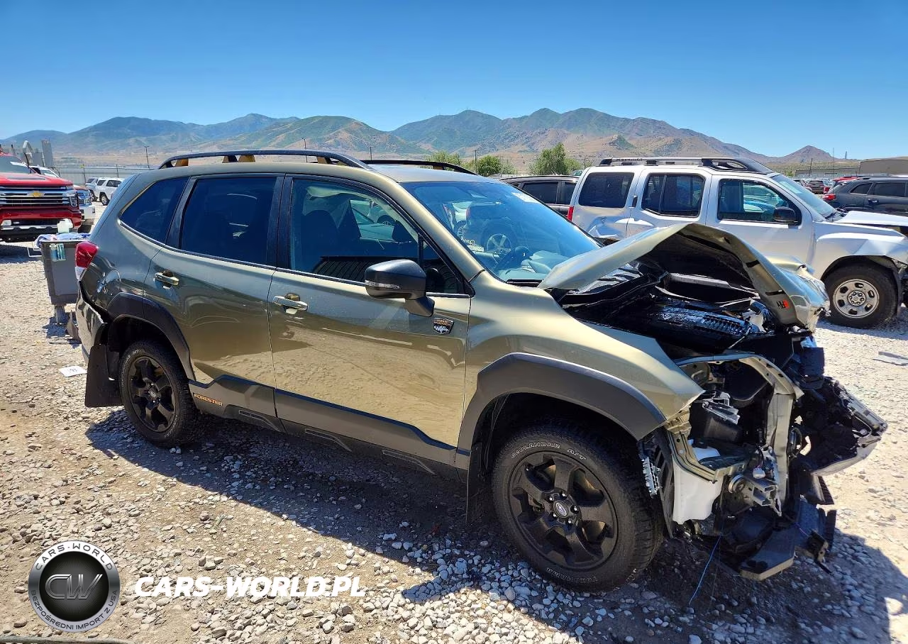2022 Subaru Forester Wilderness VIN:JF2SKAMC9NH521421 - 4