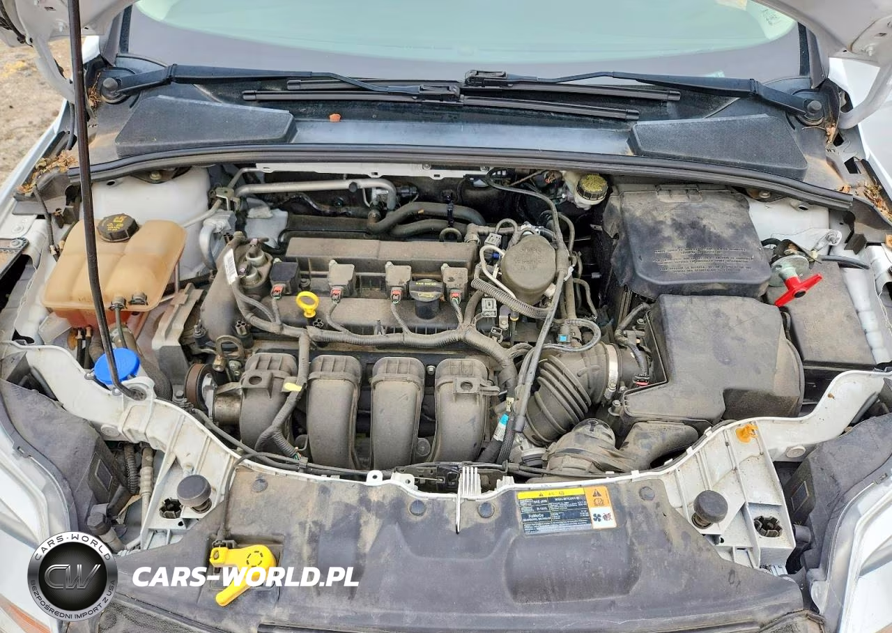 2013 Ford Focus Se VIN:1FADP3K28DL373293 - 11