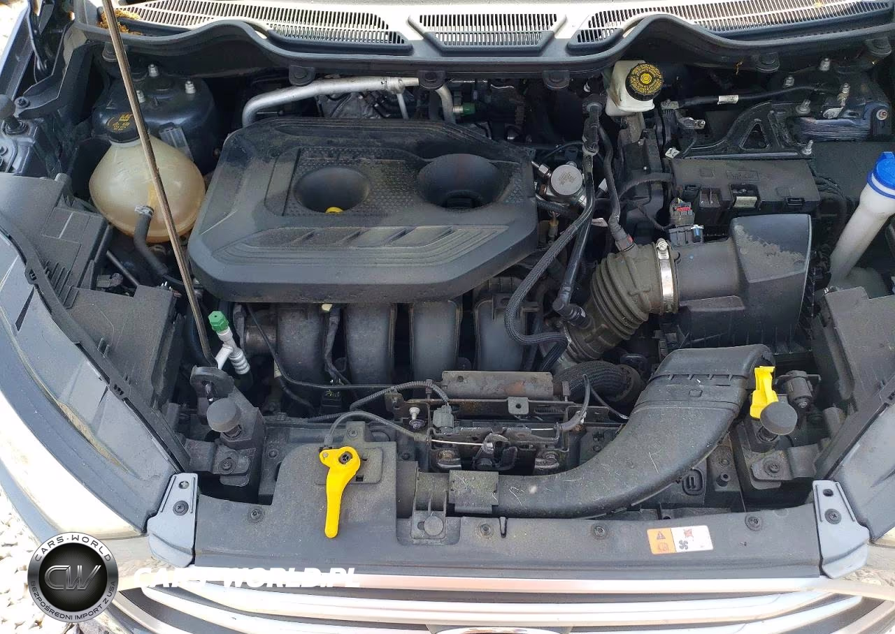 2019 Ford Ecosport Se VIN:MAJ6S3GL0KC271749 - 11