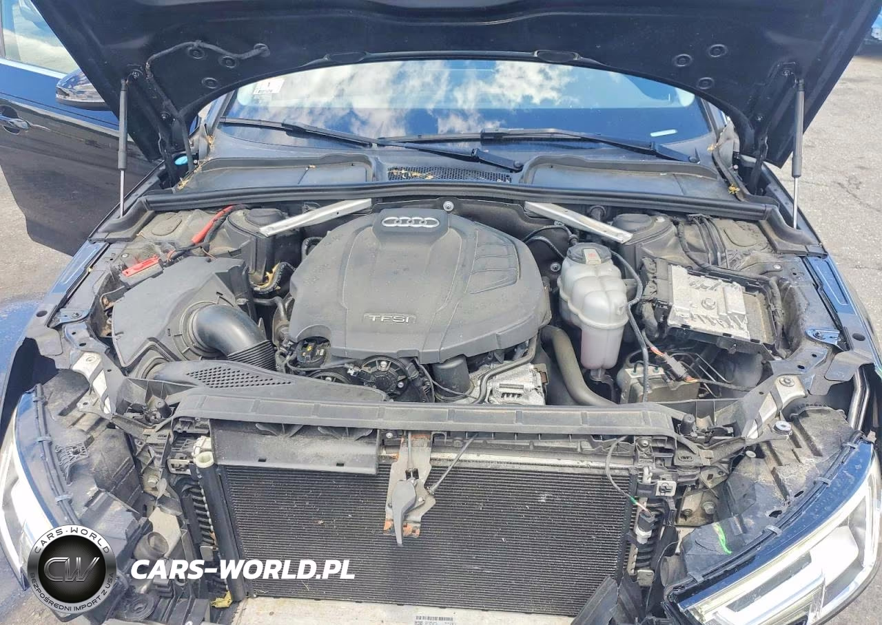 2019 Audi A4 Premium Plus VIN:WAUENAF48KN012939 - 11