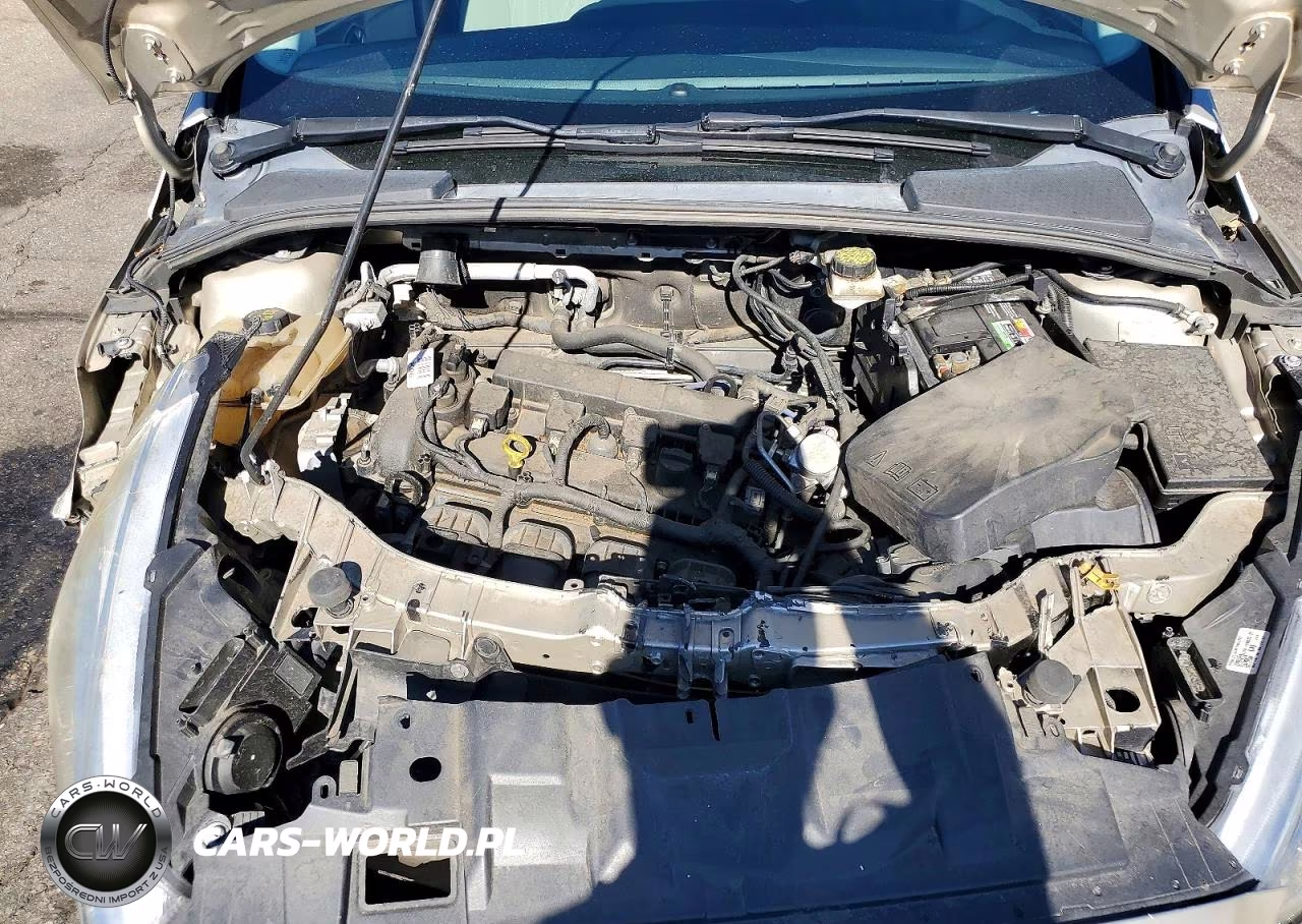 2017 Ford Focus Se VIN:1FADP3F29HL343008 - 11