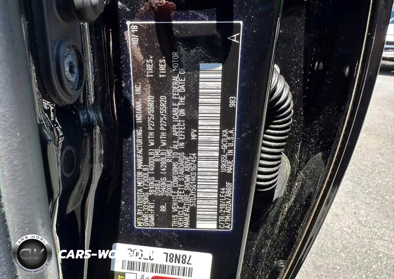 2019 Toyota Sequoia Limited VIN:5TDJY5G14KS167454 - 10