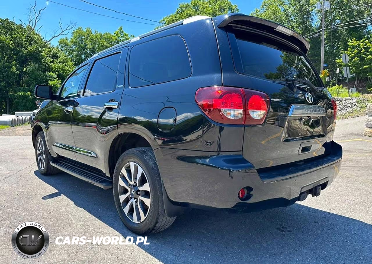 2019 Toyota Sequoia Limited VIN:5TDJY5G14KS167454 - 2