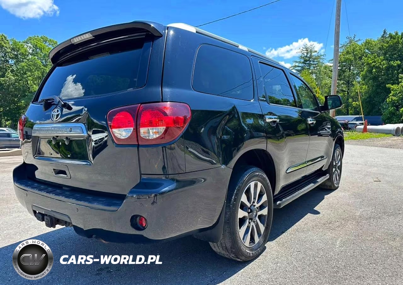 2019 Toyota Sequoia Limited VIN:5TDJY5G14KS167454 - 3