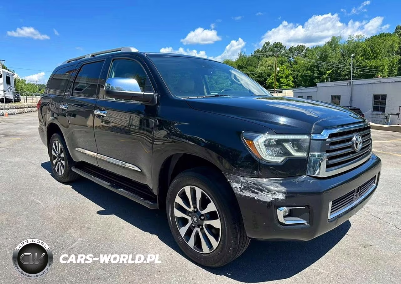 2019 Toyota Sequoia Limited VIN:5TDJY5G14KS167454 - 4