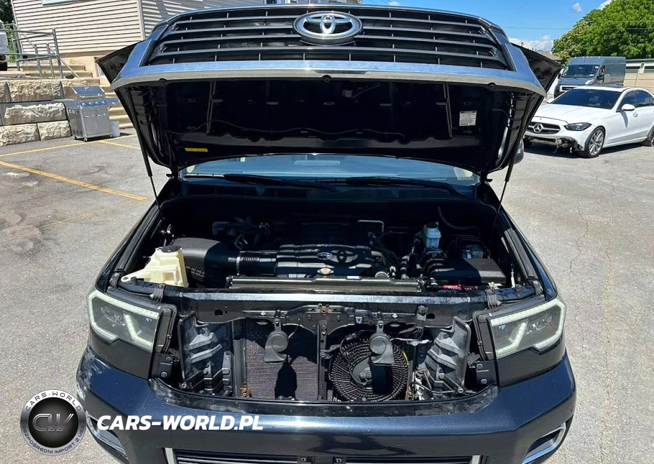 2019 Toyota Sequoia Limited VIN:5TDJY5G14KS167454 - 9