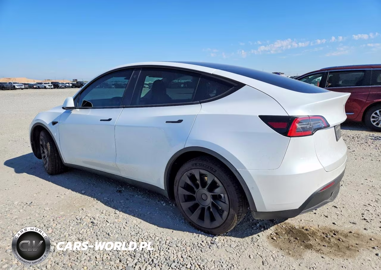2022 Tesla Model Y VIN:7SAYGDEE3NF438856 - 2