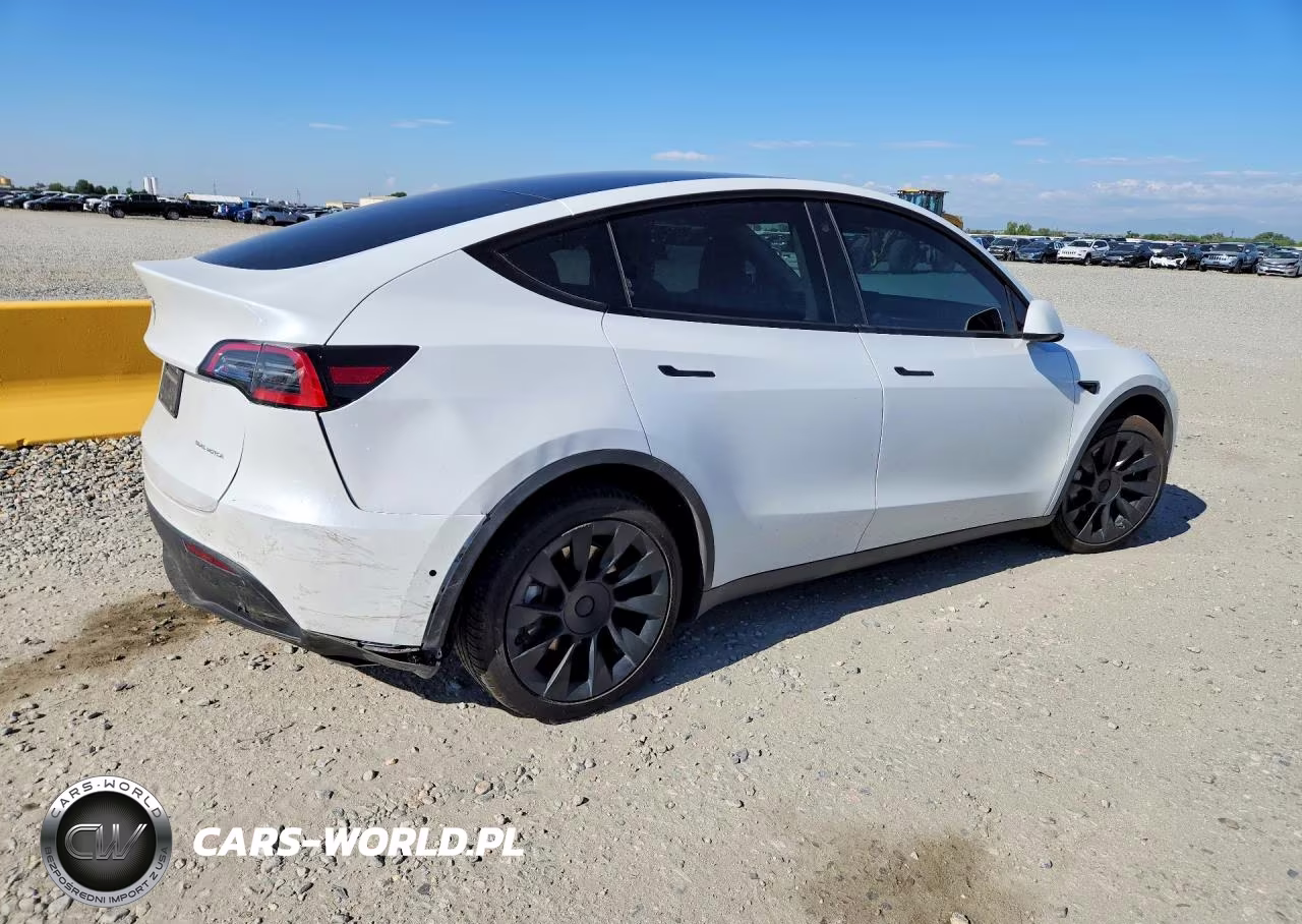 2022 Tesla Model Y VIN:7SAYGDEE3NF438856 - 3