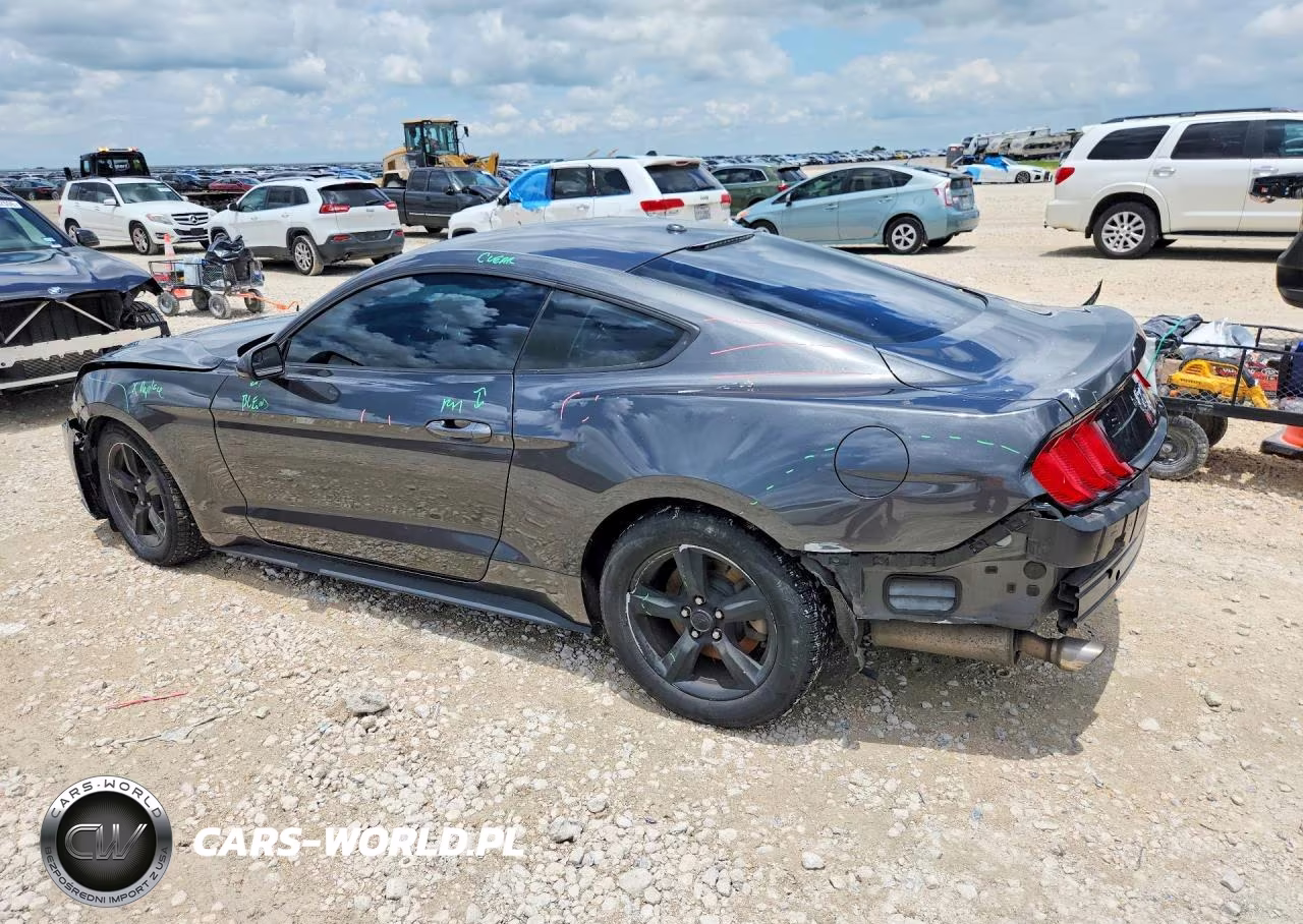 2019 Ford Mustang VIN:1FA6P8TH1K5134372 - 2