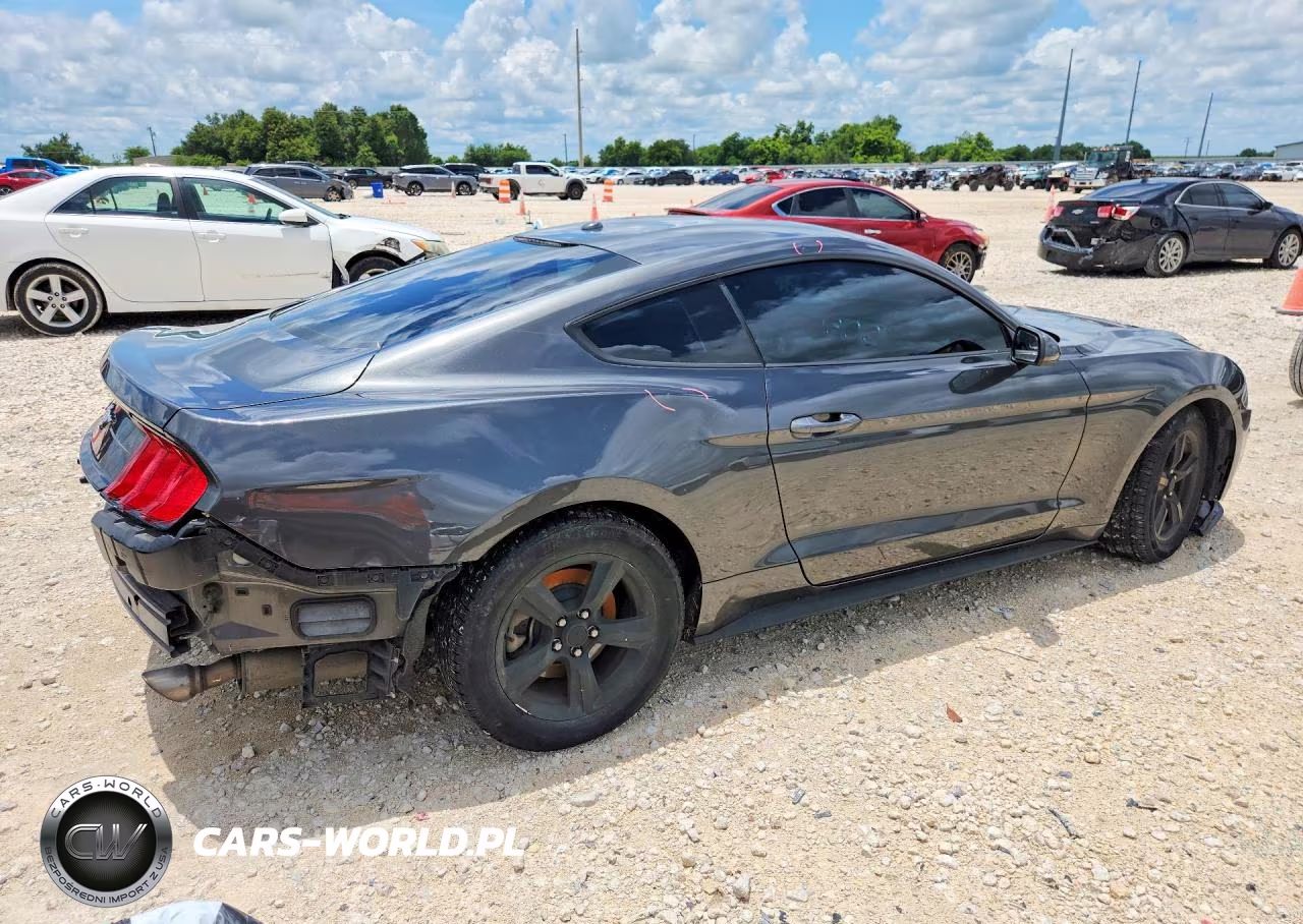 2019 Ford Mustang VIN:1FA6P8TH1K5134372 - 3