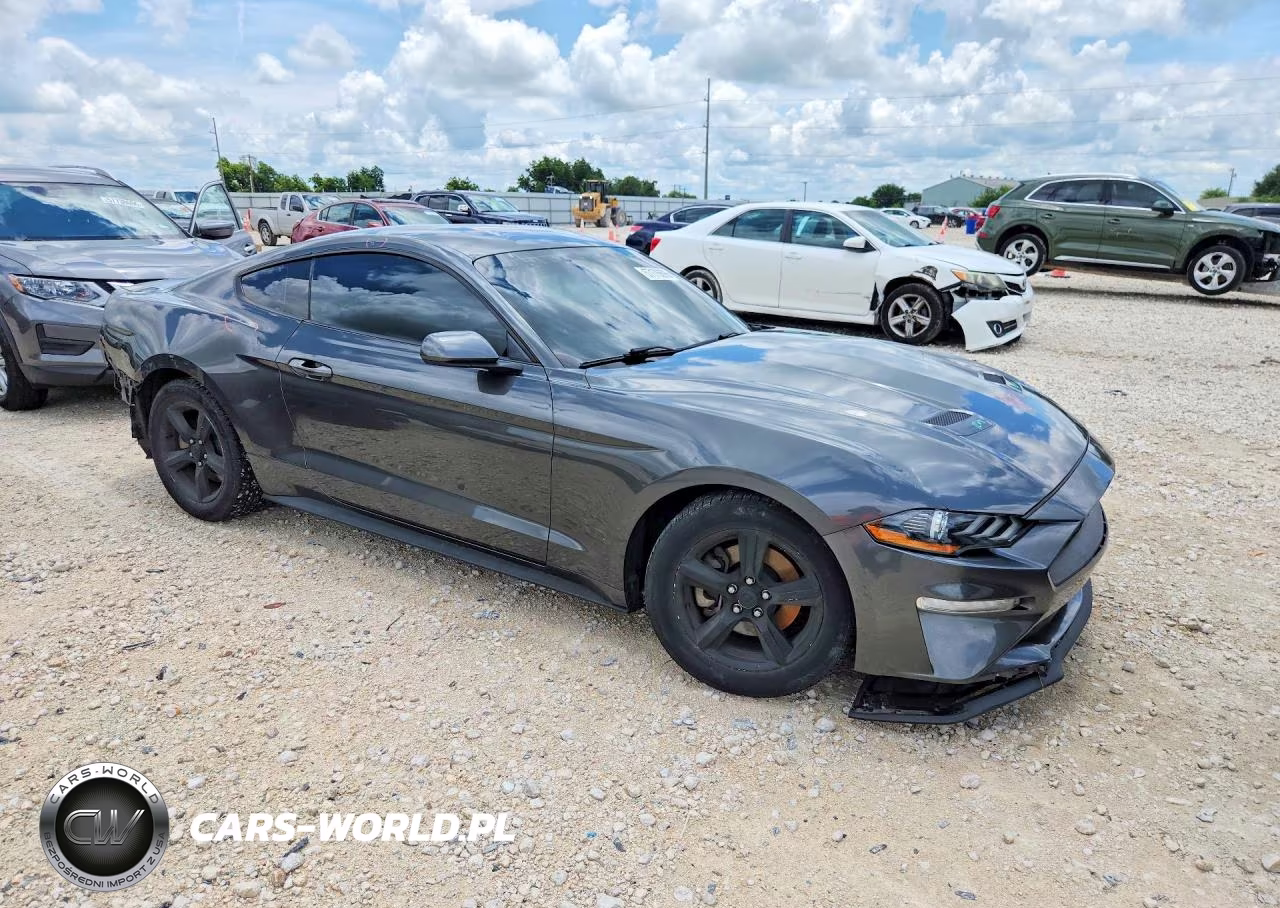2019 Ford Mustang VIN:1FA6P8TH1K5134372 - 4