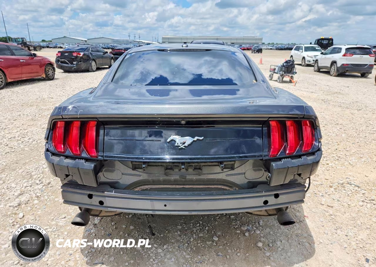2019 Ford Mustang VIN:1FA6P8TH1K5134372 - 6