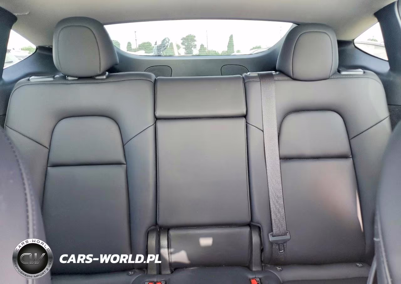 2023 Tesla Model Y VIN:7SAYGDEE4PF789875 - 10