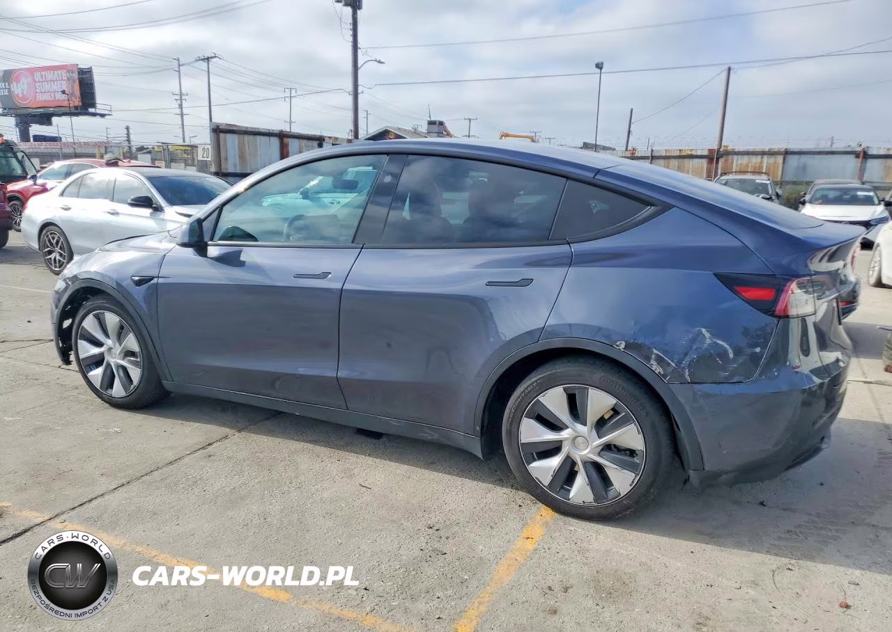 2023 Tesla Model Y VIN:7SAYGDEE4PF789875 - 2