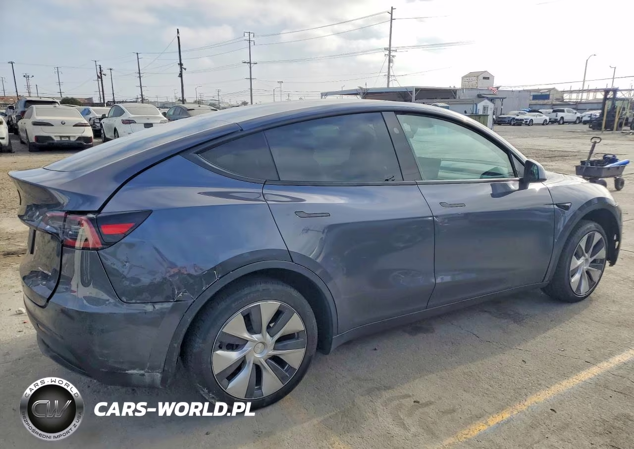 2023 Tesla Model Y VIN:7SAYGDEE4PF789875 - 3