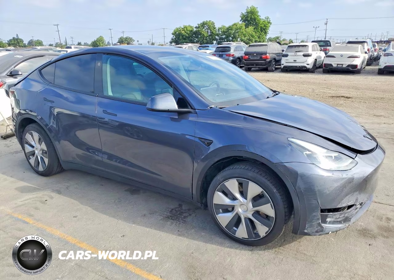 2023 Tesla Model Y VIN:7SAYGDEE4PF789875 - 4