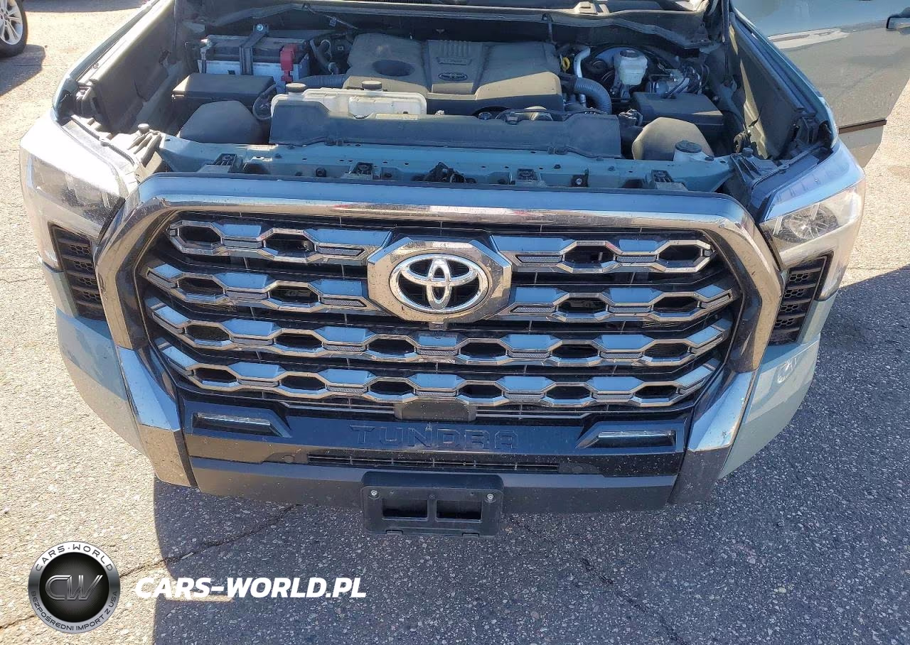 2024 Toyota Tundra Platinum VIN:5TFNA5DB3RX162785 - 11