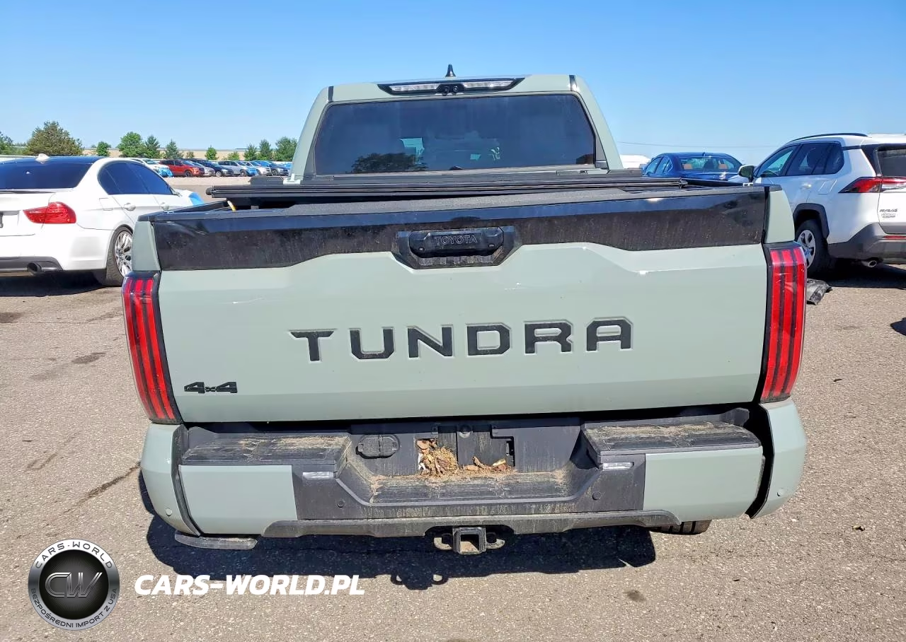 2024 Toyota Tundra Platinum VIN:5TFNA5DB3RX162785 - 6