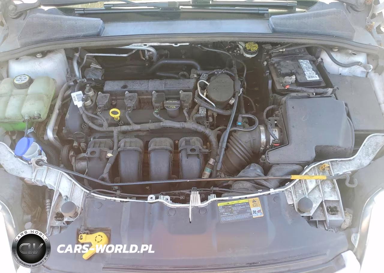 2012 Ford Focus Sel VIN:1FAHP3H28CL339913 - 11