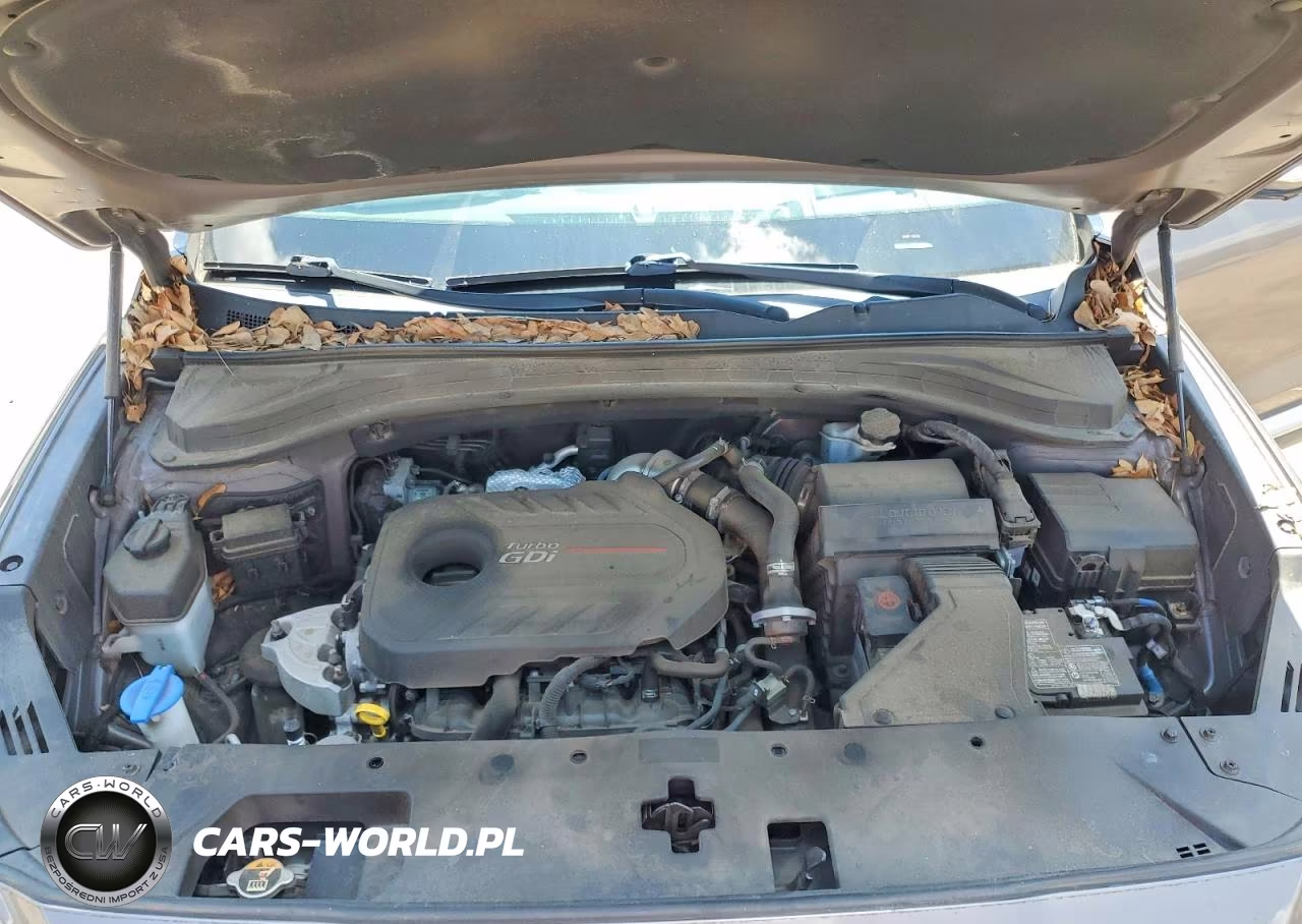 2019 Hyundai Santa Fe Limited 2.0T VIN:5NMS5CAA5KH097170 - 12
