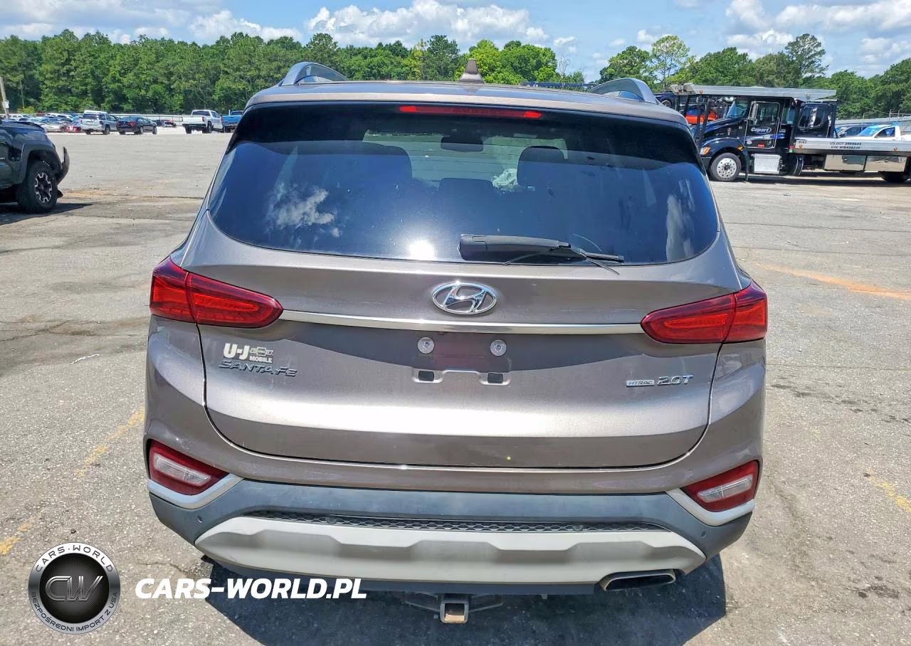 2019 Hyundai Santa Fe Limited 2.0T VIN:5NMS5CAA5KH097170 - 6