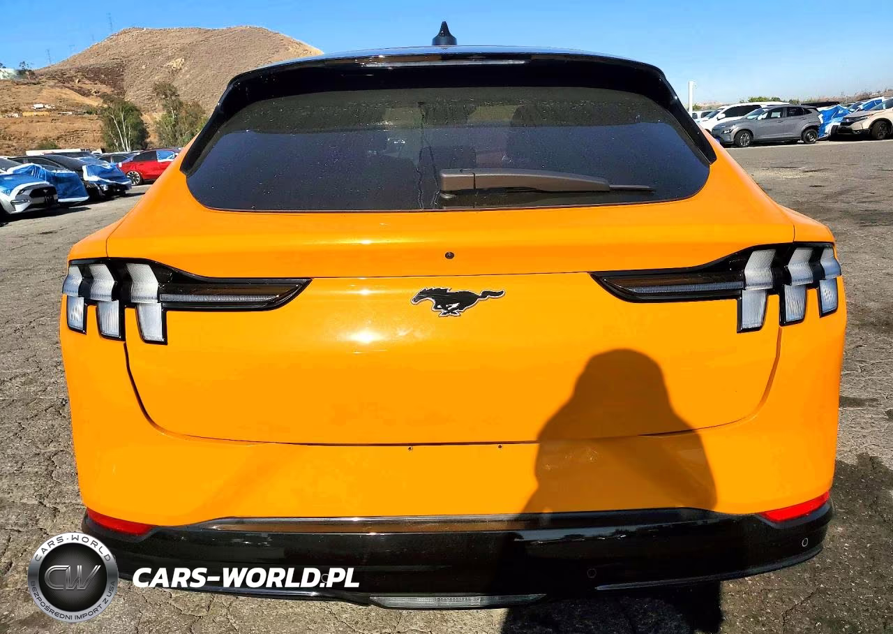 2023 Ford Mustang Mach-E Premium VIN:3FMTK3RM8PMA31725 - 6