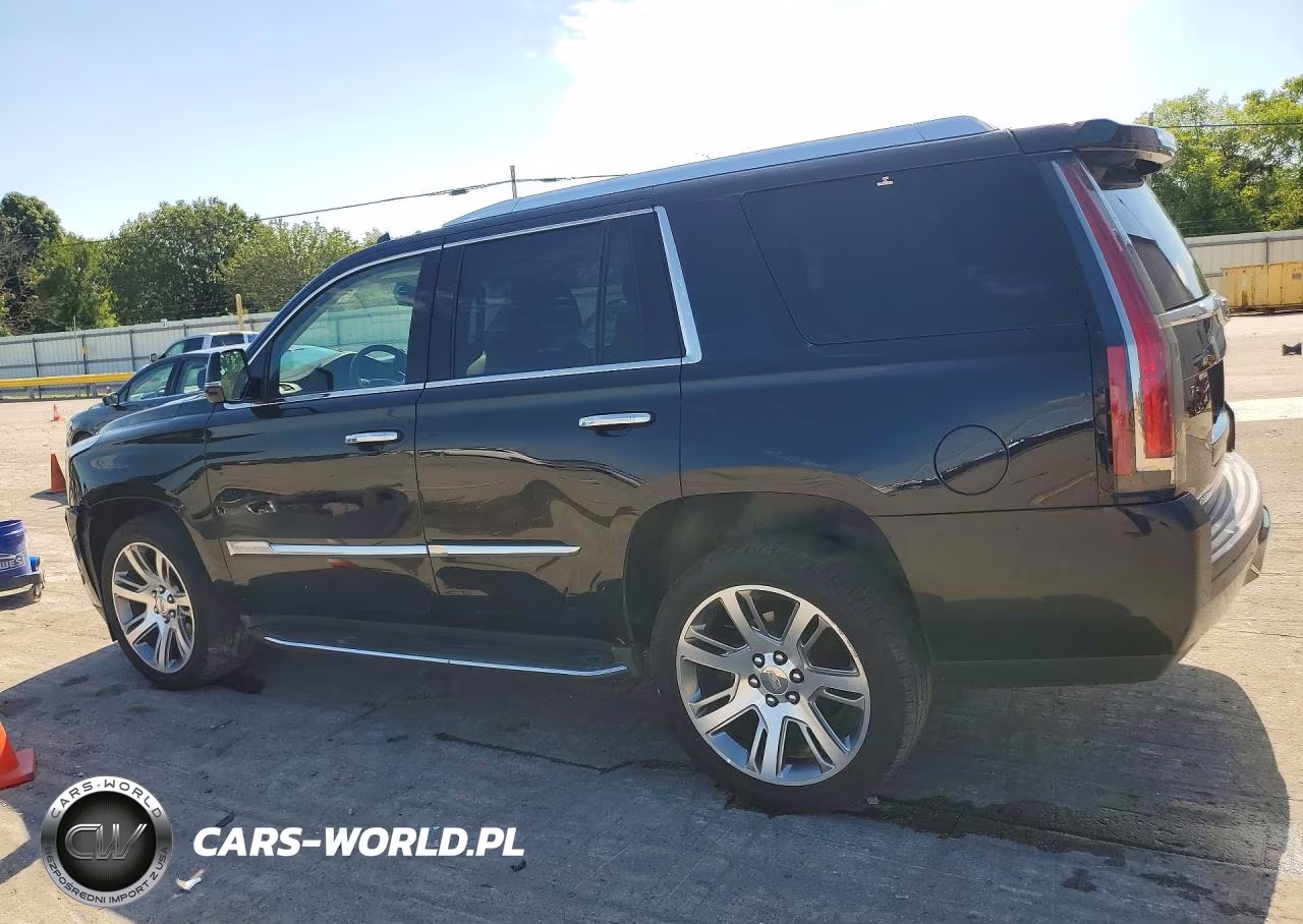 2016 Cadillac Escalade Luxury VIN:1GYS4BKJ7GR451019 - 2