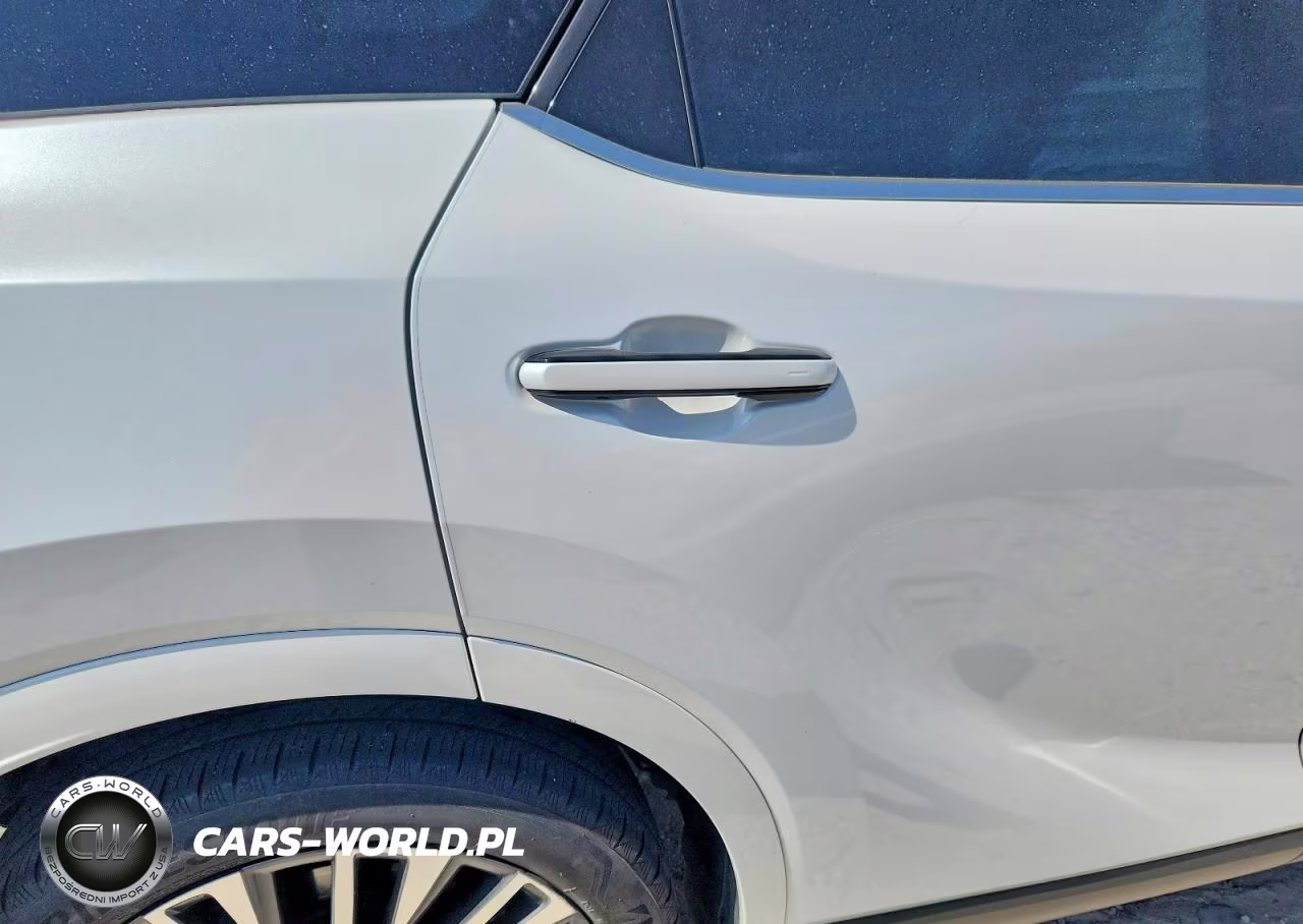 2023 Lexus Rx 350 Premium+ VIN:2T2BAMCA9PC025430 - 10