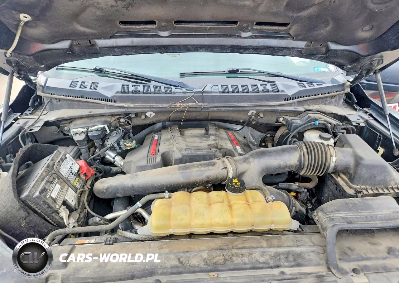 2020 Ford F150 Raptor VIN:1FTFW1RG9LFA71309 - 11