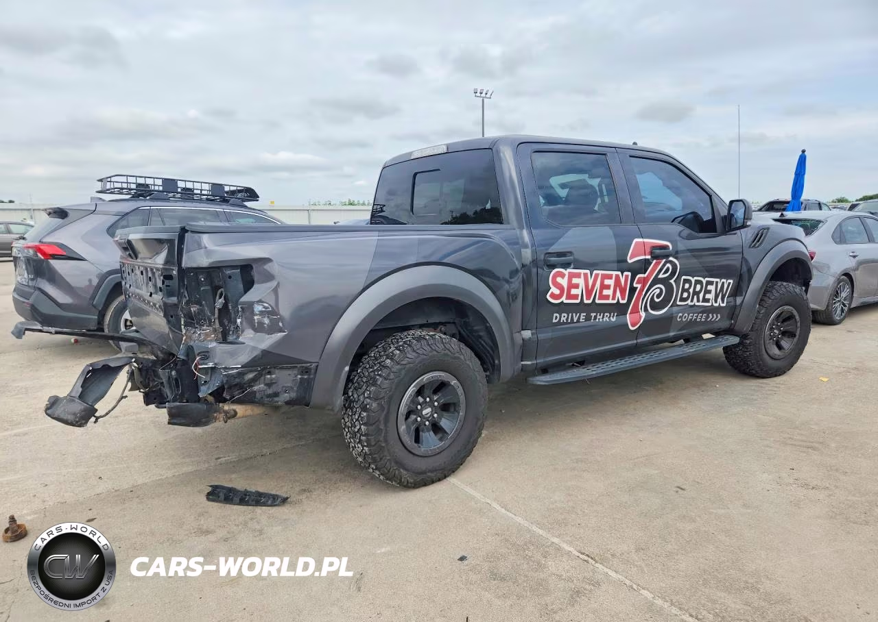 2020 Ford F150 Raptor VIN:1FTFW1RG9LFA71309 - 3
