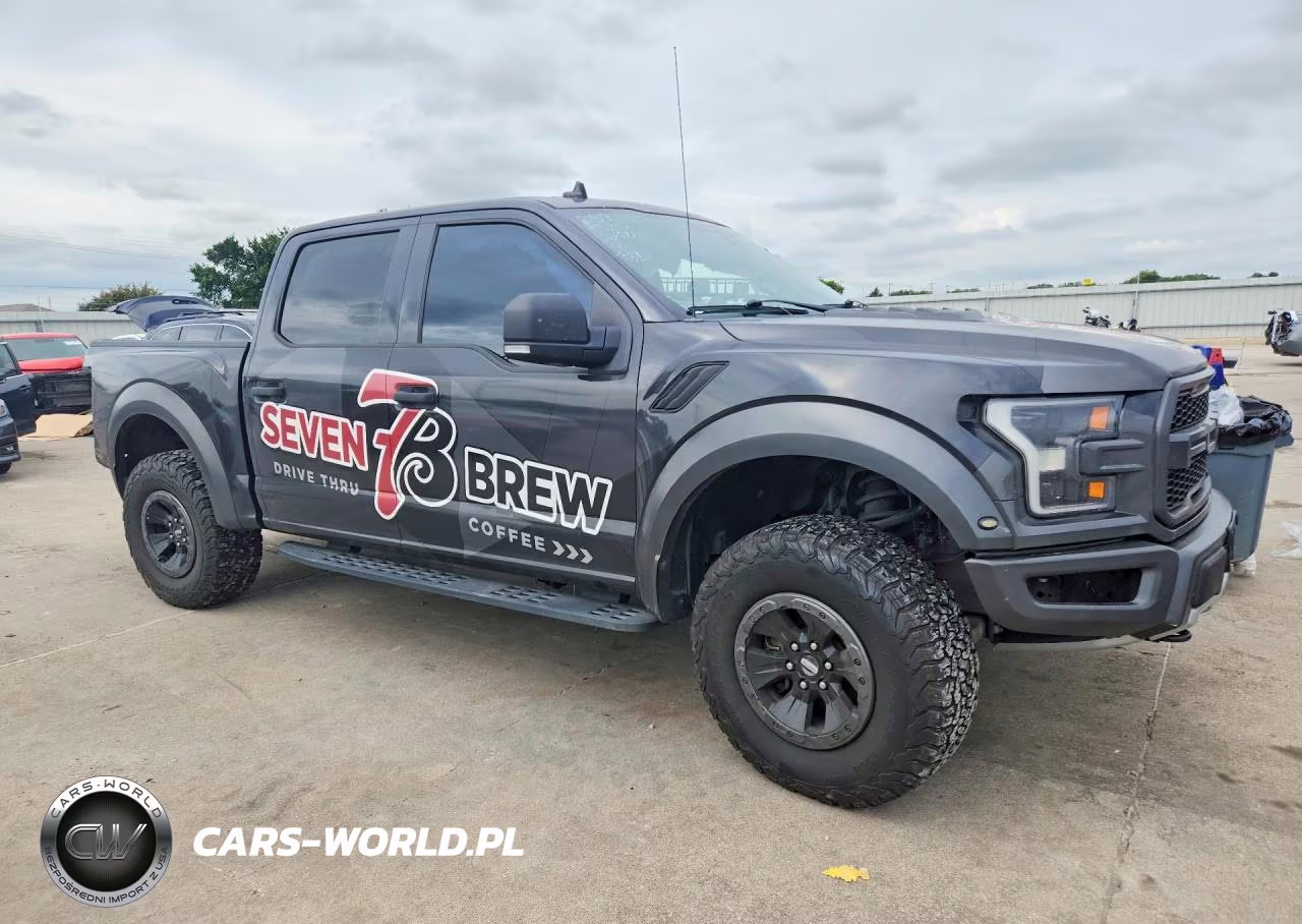2020 Ford F150 Raptor VIN:1FTFW1RG9LFA71309 - 4